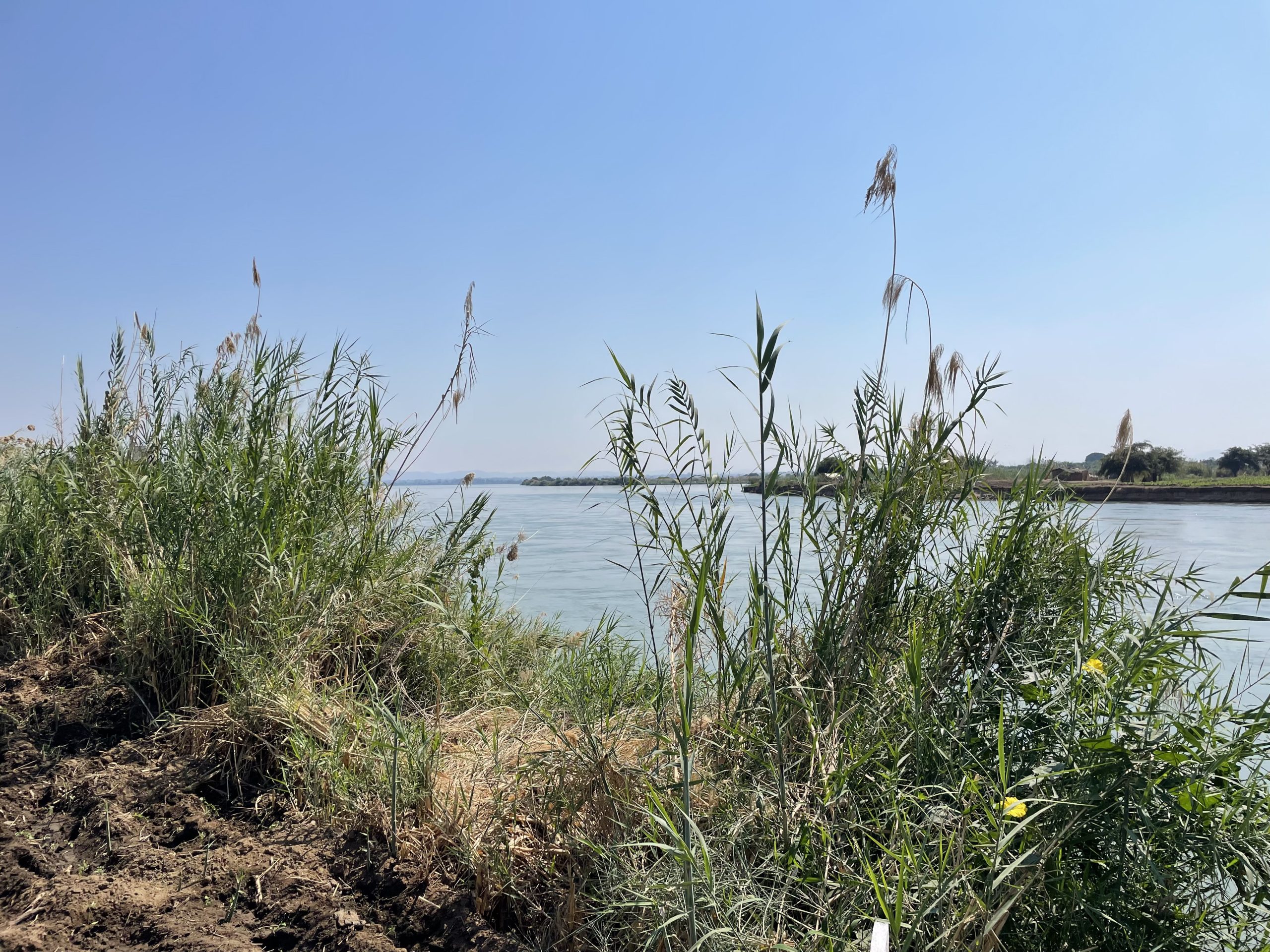 photo of the Zambezi River